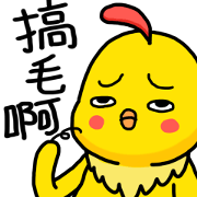 We are lazy chicks