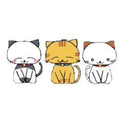 Tiga anak kucing