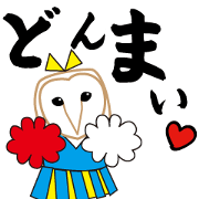 Barn owl nandesu