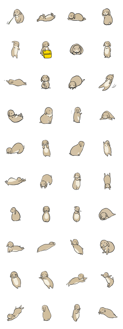 Holland rop ear rabbit Moco 3