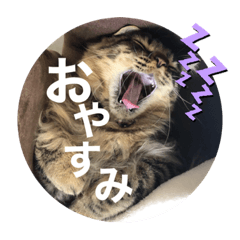 sumire_20200712221632