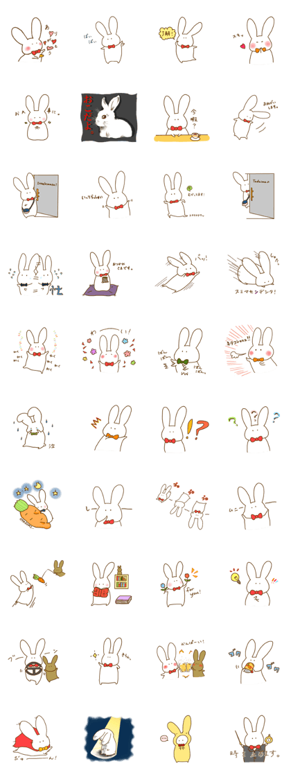 Rabbit ITOSAN 2