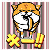 O dog v4