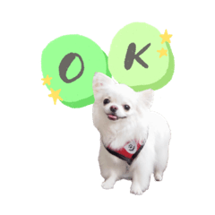 ayumi_20200713132903