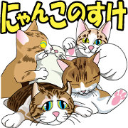 nyanconosuke