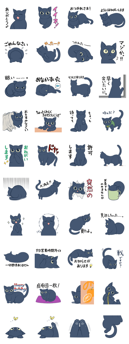 BLACK CAT KUROSUKE