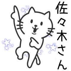 Cat to SASAKI