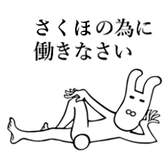 Rabbit's Sticker for Sakuho