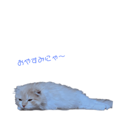 rina_20200713013118