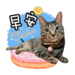 季恩與咪咪