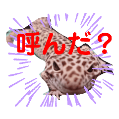 かわいい爬虫類達のスタンプ Line スタンプ Line Store