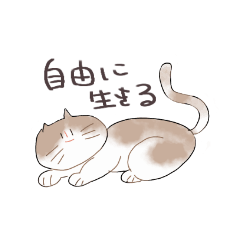 wasabi_20200713023737