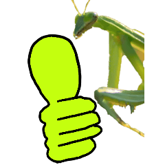 Mantis doodle-BIG