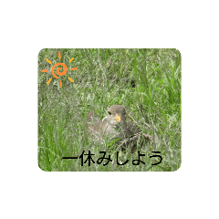 hana_20200713122649