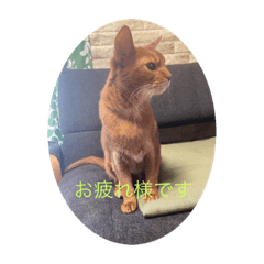 GRACE_20200713141434