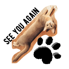 natsumi_20200713142548