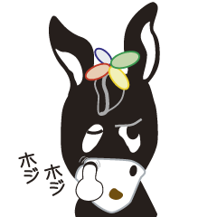 Black donkey, " Kuroroba-Kun ". 2nd.