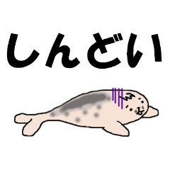 Drunk Seal