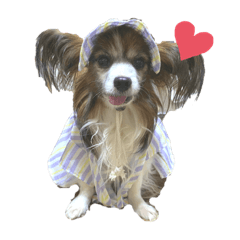 hikari_20200713202856