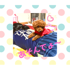 vivi_20200713203102