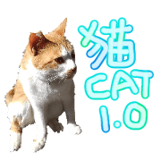 Easygoing Cats 1.0