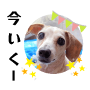 risu.risa.risu_20200714000625