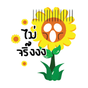 sunflowers temperamental
