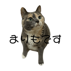 haruna_20200713165328