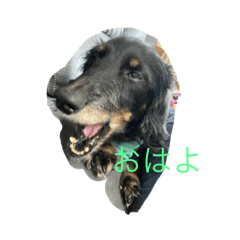SAYA_20200713164208