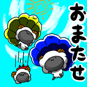 Everyday of sheep