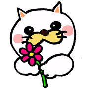 My pretty cat Voca