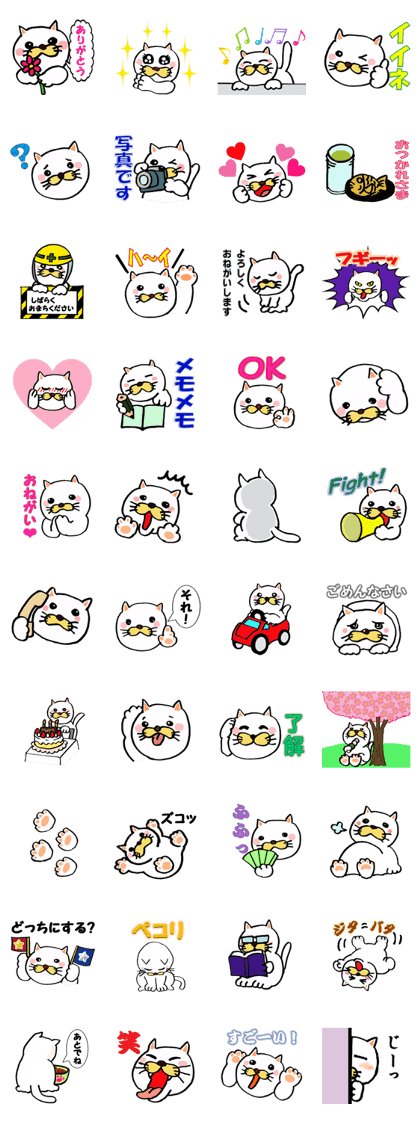 My pretty cat Voca