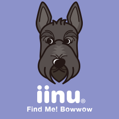 iinu - Scottish Terrier