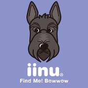 iinu - Scottish Terrier