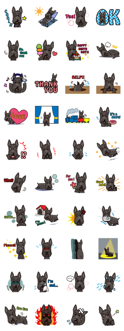 iinu - Scottish Terrier