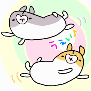 ham chaaaaaaan
