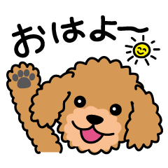 Cute! Poodle Stickers