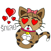 Kao-Tu The Cute Kitten