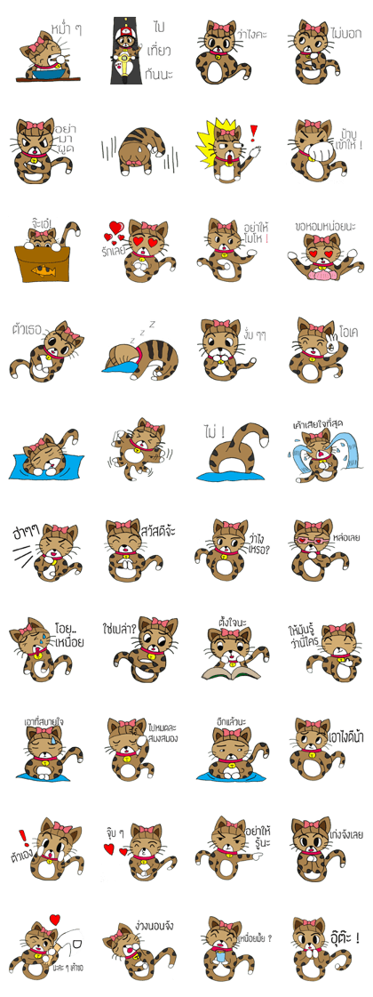 Kao-Tu The Cute Kitten