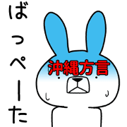Dialect rabbit [okinawa2]