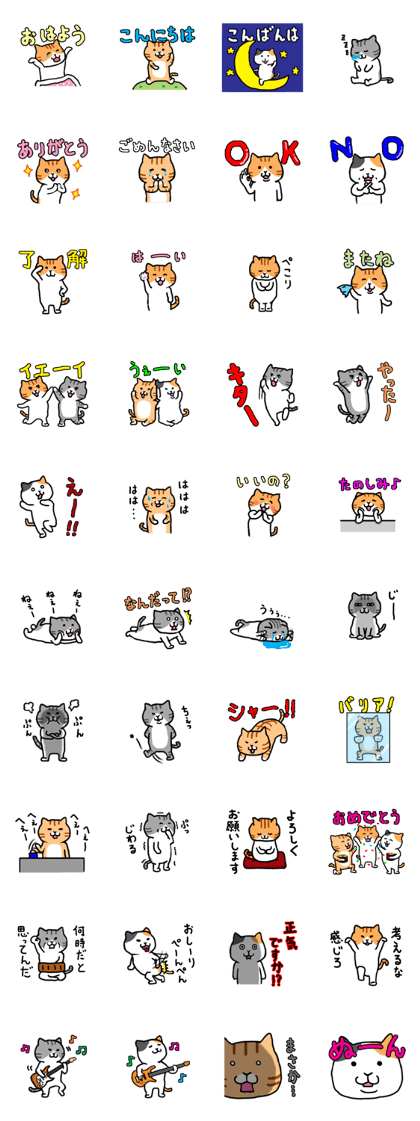 the world of the cat
