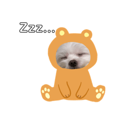 萌小寶