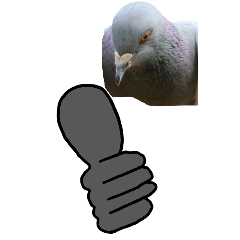 Doodle on pigeon-BIG