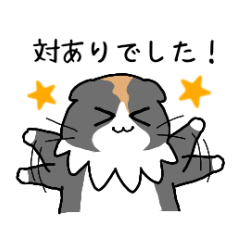 ゲーマー猫2