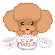 CUP POODLE CUP POODLE