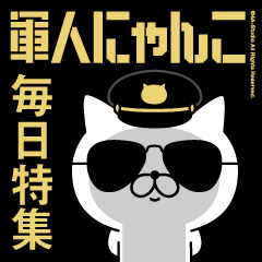 Military Cat 1/Every day/American police
