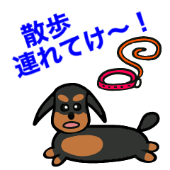 Doll, Black Tan Chubby Bossy Dachshund