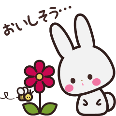 Usachan the adorable bunny