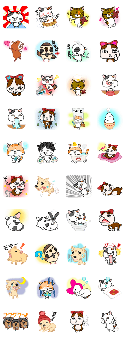 HUJIYAMA cat