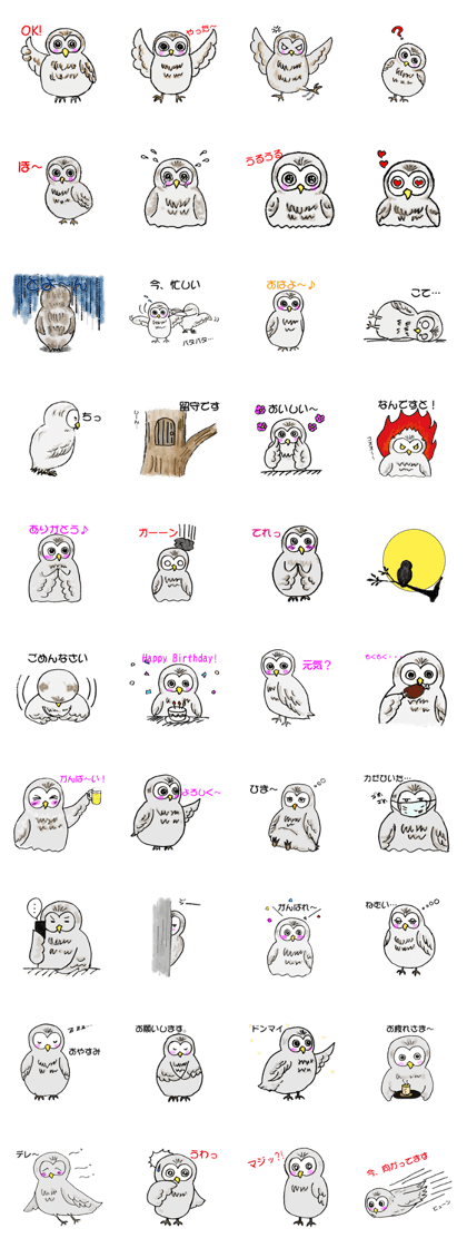 FUTA of an owl